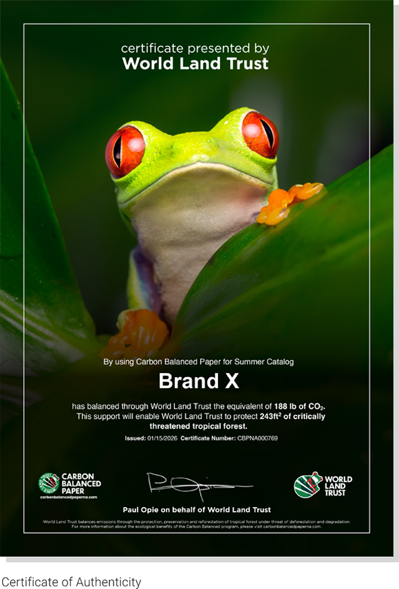 Carbon Balanced Paper Certificate